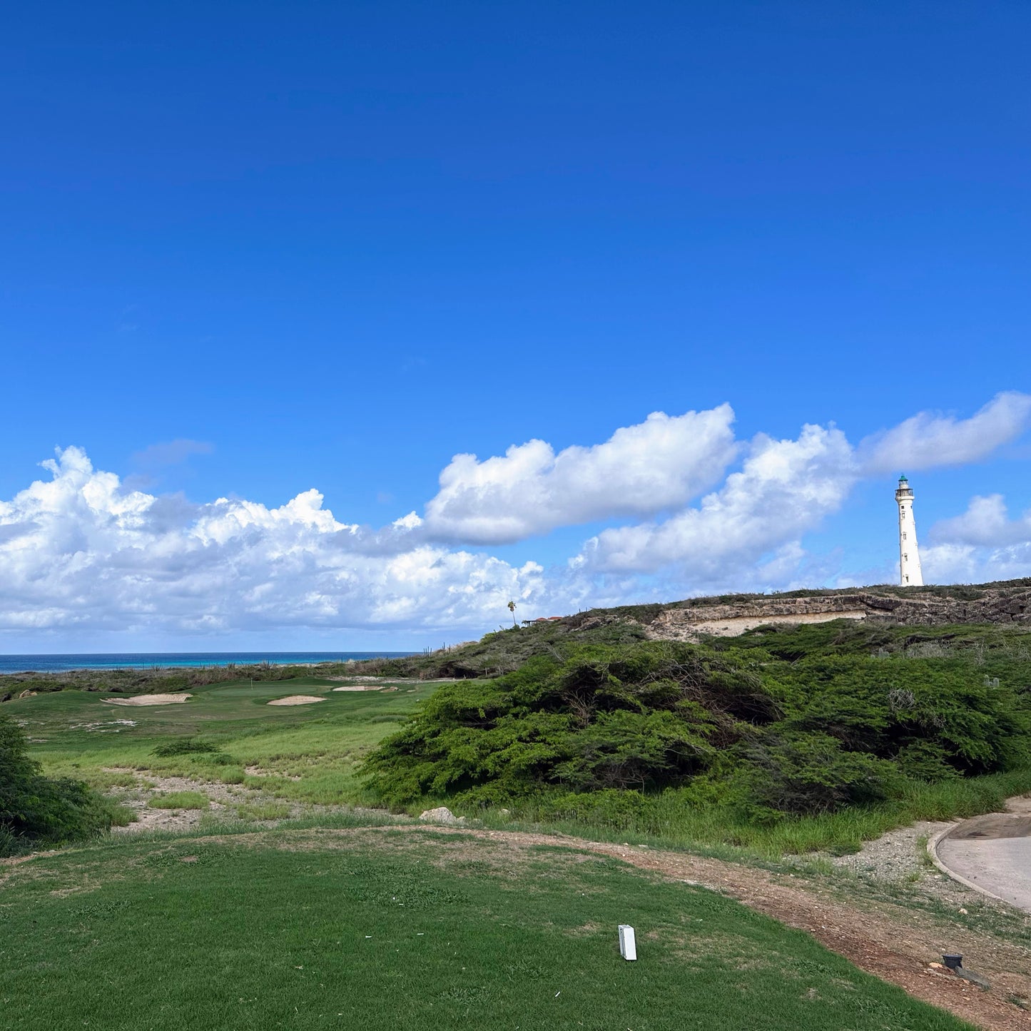 Tierra Del Sol Aruba Logo Golf Ball